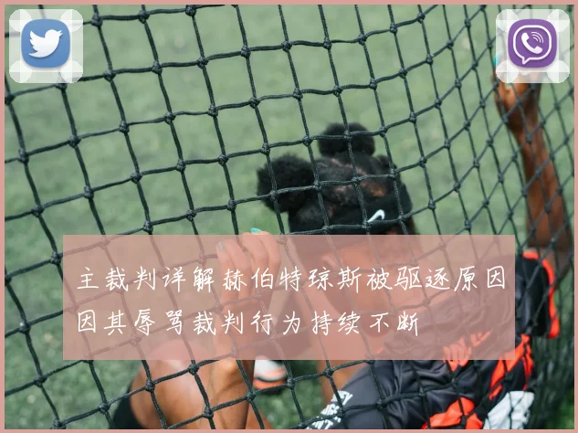 主裁判详解赫伯特琼斯被驱逐原因因其辱骂裁判行为持续不断