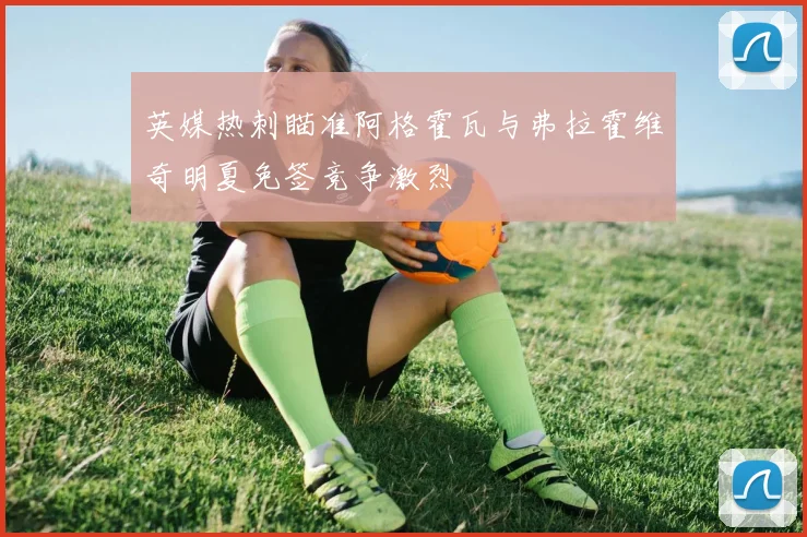 英媒热刺瞄准阿格霍瓦与弗拉霍维奇明夏免签竞争激烈