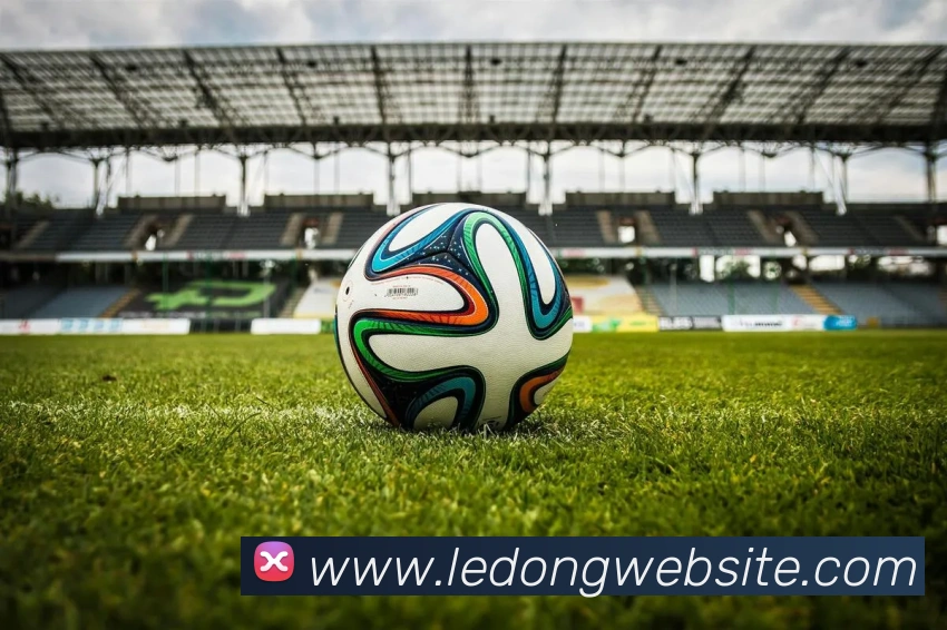 乐动体育平台生态图