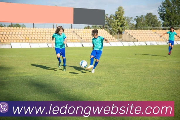 乐动体育APP 封面图