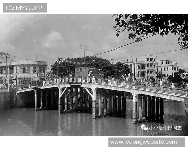 媒体人分析佛山南狮迁移传闻或不成立或将继续留在佛山